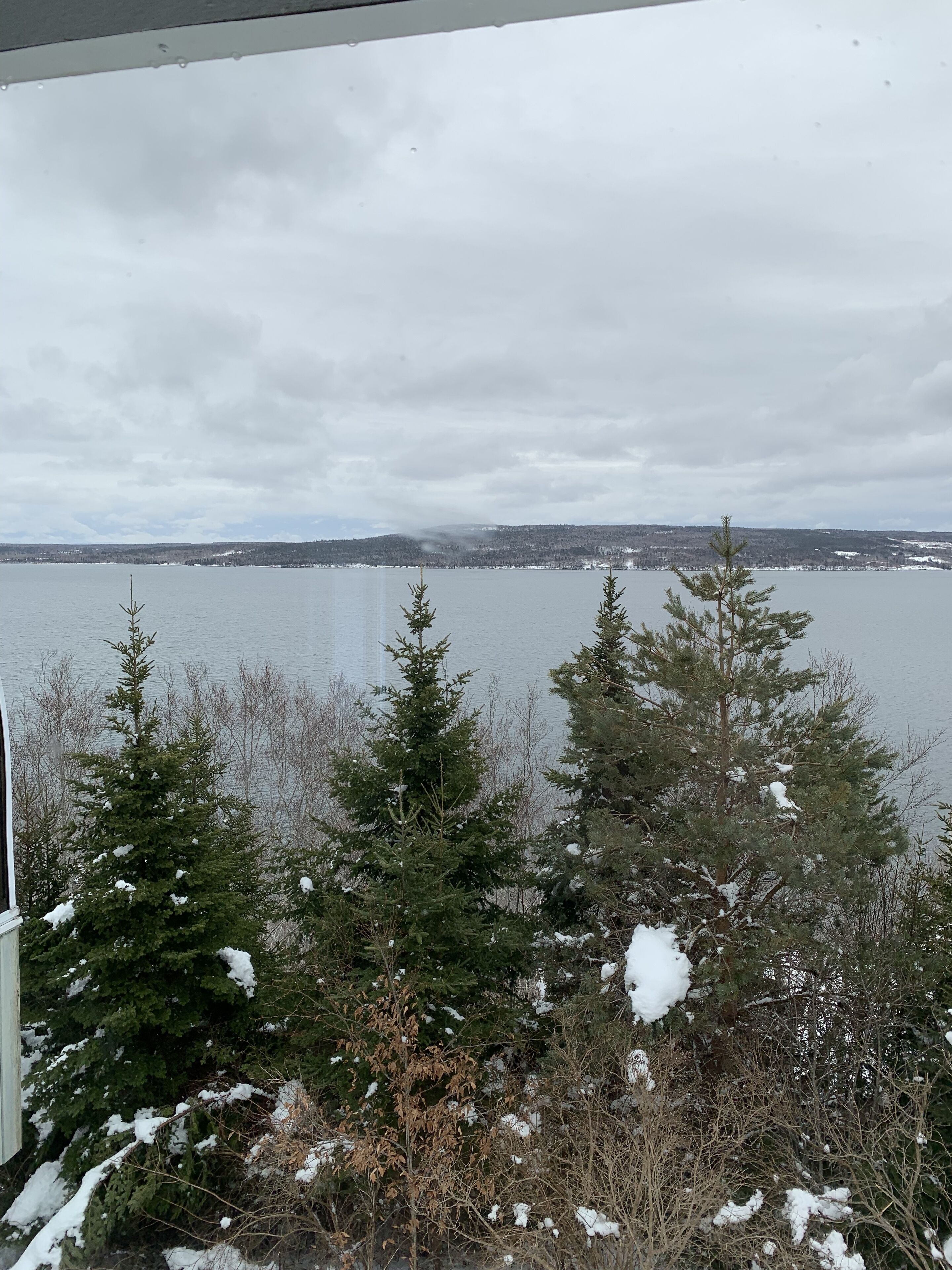 View from property