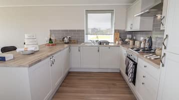Fridge, dishwasher, electric kettle, toaster