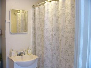 Hair dryer, towels, soap, shampoo - Cozy, comfortable and conveniently close to historic downtown Stroudsburg! (Stroudsburg)