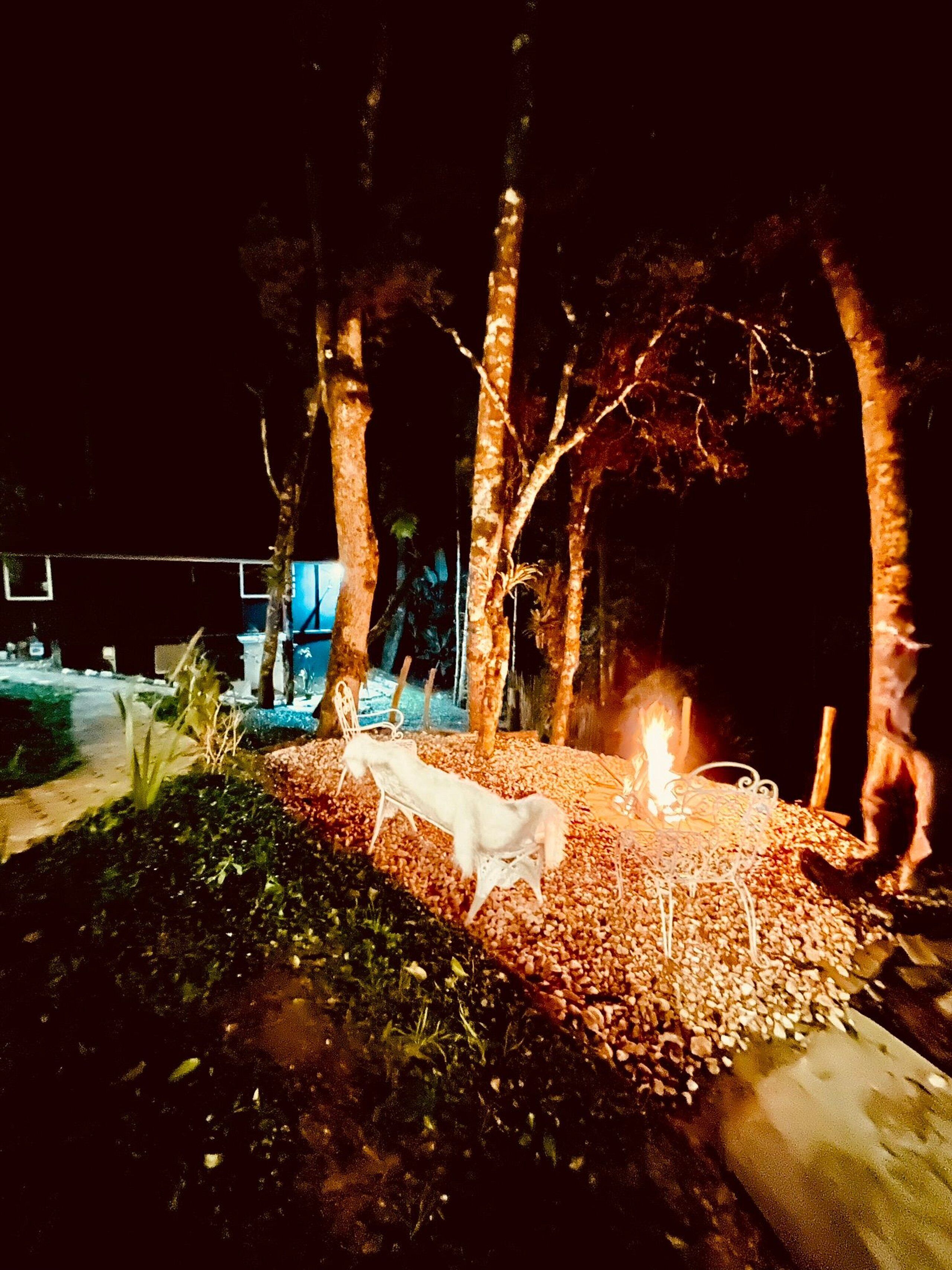 Un espacio al aire libre de noche con un brasero, detalles decorativos y árboles.