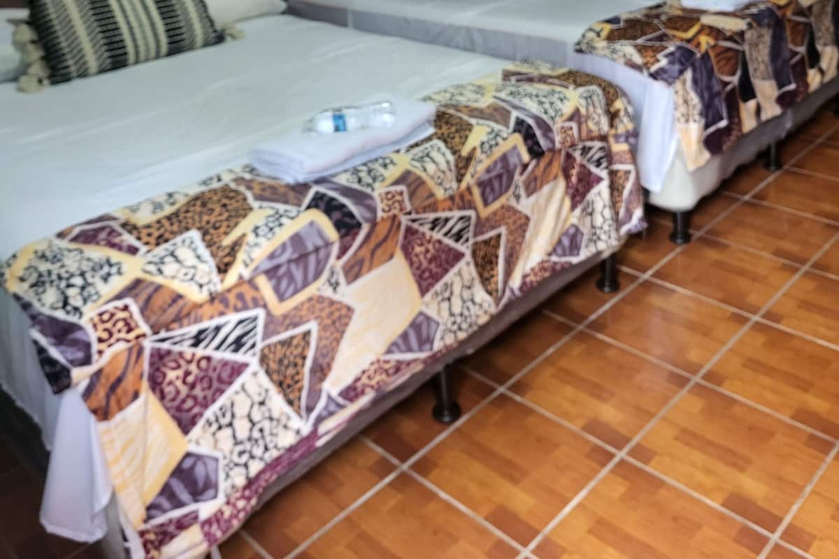 Basic Twin Room