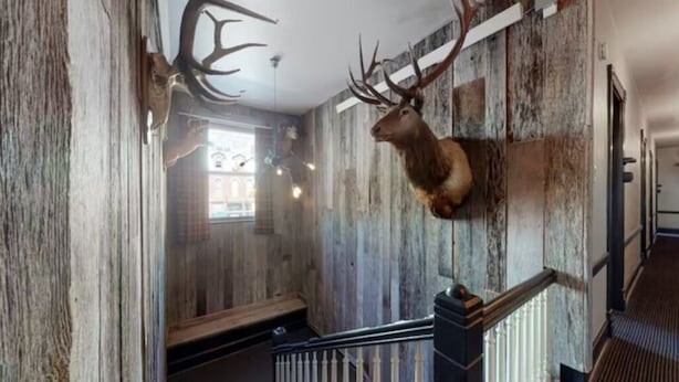A rustic interior with a mounted deer head on the wall, wooden paneling, and a staircase with a railing. - Benson Lodge Room - 6 (Silverton)