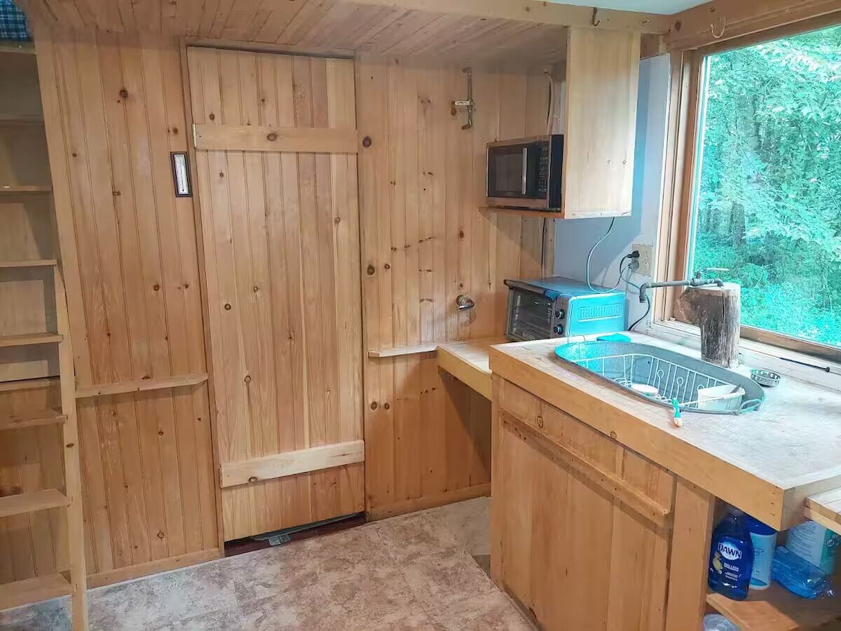 Imagen de perfil del propietario o de la propietaria