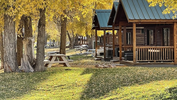 Une rangée de cabanes rustiques aux toits métalliques, entourées de grands arbres aux feuilles jaunes.