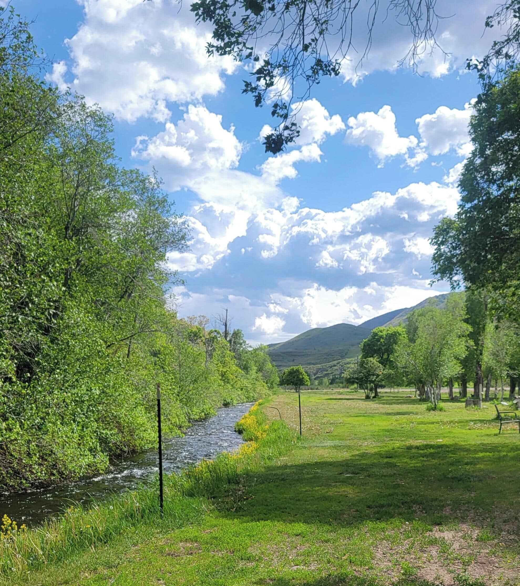 Une rivière serpente à travers un paysage verdoyant, bordé d’arbres, sous un ciel dégagé.
