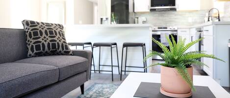 Smart TV, computer monitors