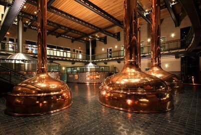 Near Sierra Nevada & Biltmore 
4BR/2BA 1 minute to Asheville Airport/Ag Center. 