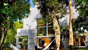 A modern house with a swimming pool, surrounded by lush greenery and a hammock. - Casa Los Charcos
 (Playa del Carmen)