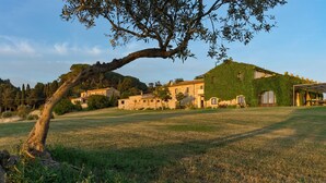 A countryside property with stone buildings, a grassy field, and a large tree. - Stunning private villa with private pool, WIFI, A/C, TV, pets allowed and panoramic view (Terriccio)