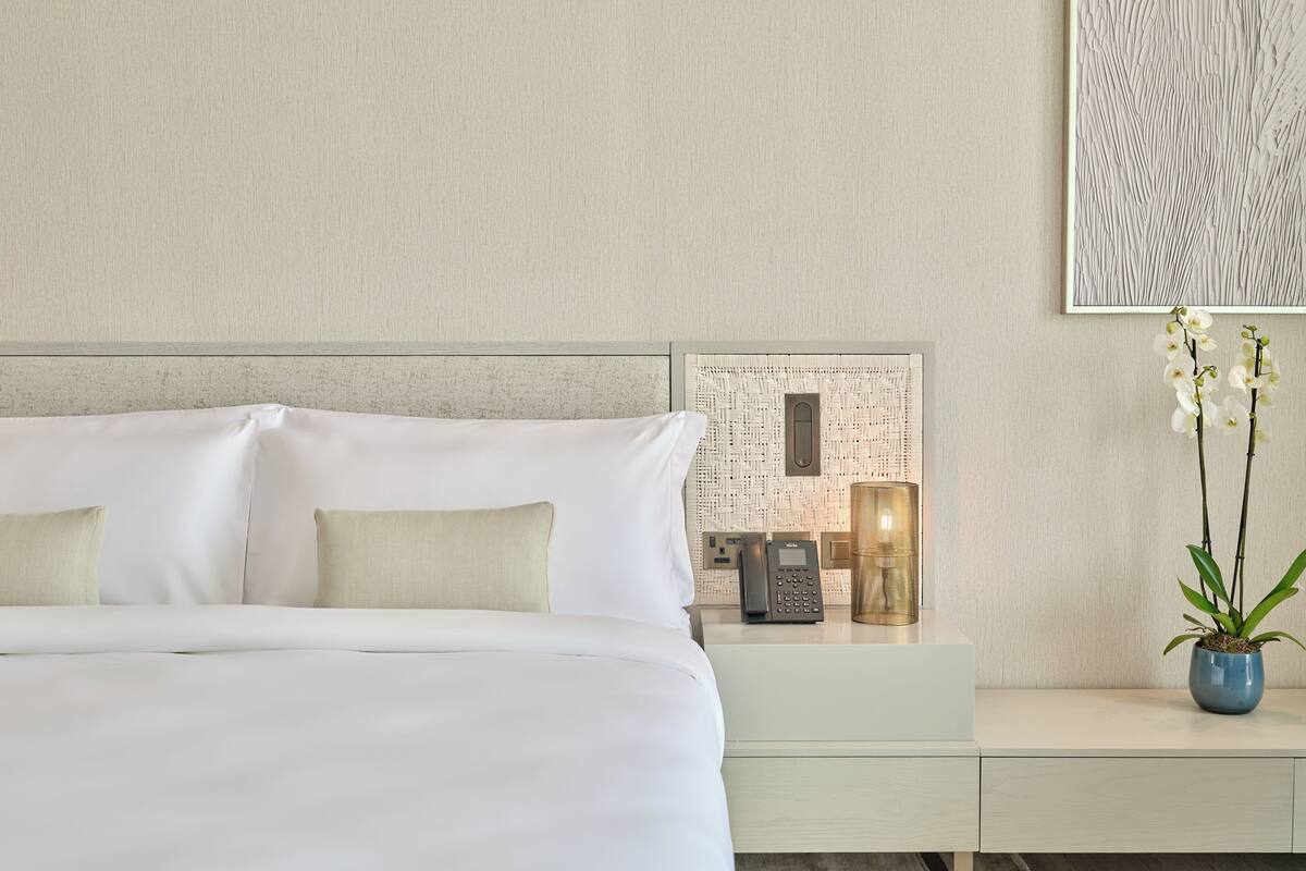 A modern hotel room with a large bed, a bedside table with a phone and lamp, and a small plant on a nightstand.