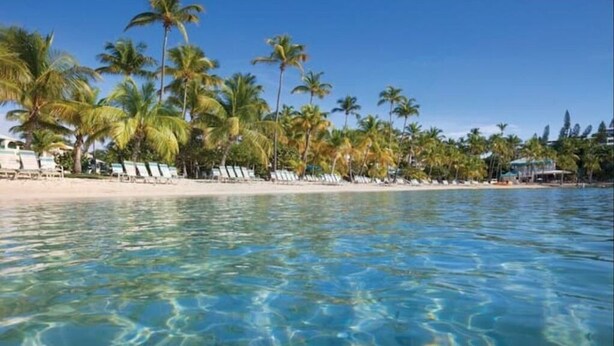A beach with clear water, palm trees, and sun loungers. - Gigi's Luxury Beach Hideaway- 3 BDRM- Cowpet Bay West- East End- Pool & Beach
 (St Thomas)