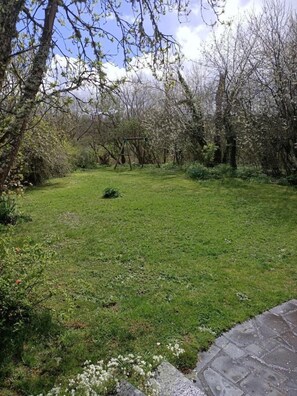 ا لمنطقة المحيطة بالمنشأة