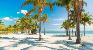 A beach with palm trees and a clear sky. - Saltwater Pool, Firepit & Workspace I 7 min to Brickell (Miami)