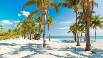 Beach nearby, sun loungers, beach towels