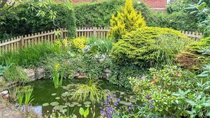 Ein Garten mit Teich, verschiedenen Pflanzen und einem Holzzaun.