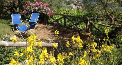 Cozy typical Sorrento house