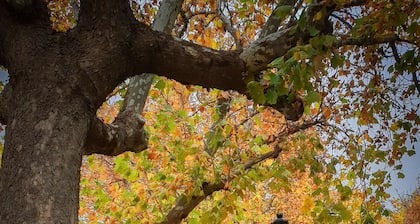 FLATS 20 Ático · Check-in 24h NEW!! Increíble ático en el CENTRO 1000 Estrellas!