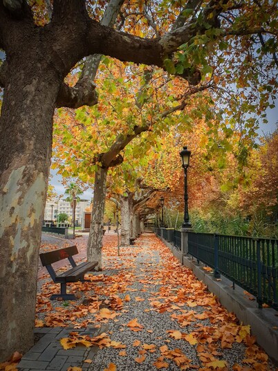 FLATS 20 Ático · Check-in 24h NEW!! Increíble ático en el CENTRO 1000 Estrellas!