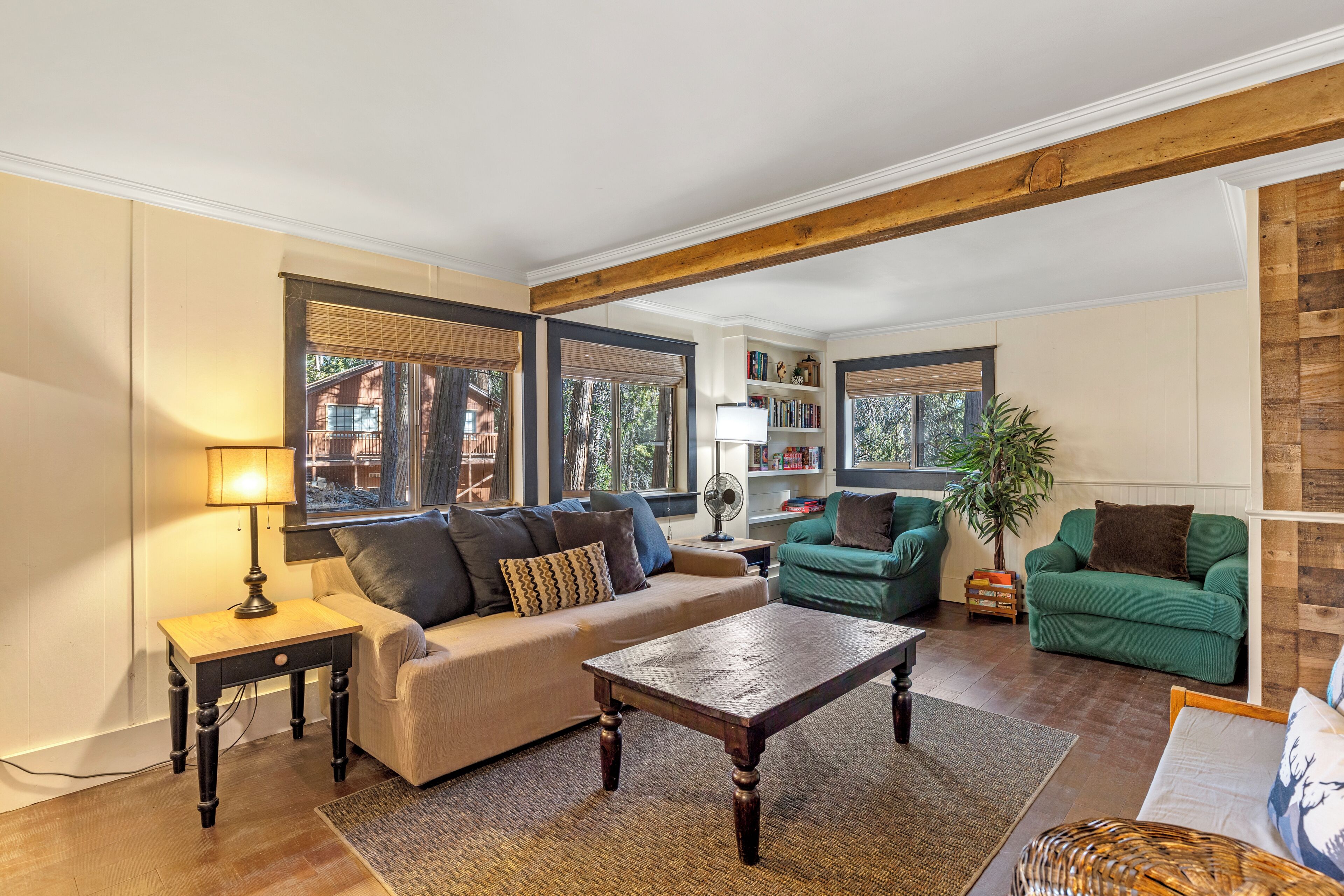 Smart TV, fireplace, books