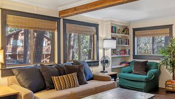 Smart TV, fireplace, books
