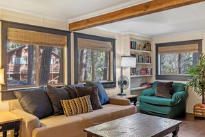 Smart TV, chimenea y libros 