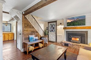 Smart TV, fireplace, books