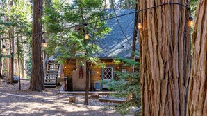 Un chalet rustique aux murs en bois, entouré de grands arbres et accessible par un sentier de terre qui mène à l’entrée.