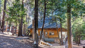 Un chalet rustique entouré de grands arbres, doté d’une terrasse en bois et d’un escalier menant à l’entrée.