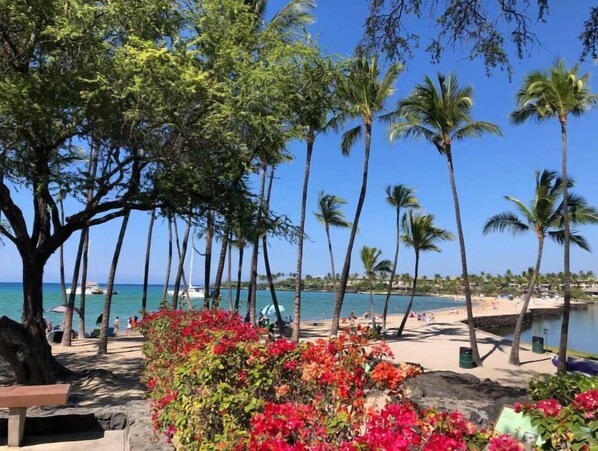 サンラウンジャー、ビーチタオル