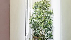 A hallway with a potted plant. - Home Suite Home II - Studio apartment with large shared terrace (Madrid)