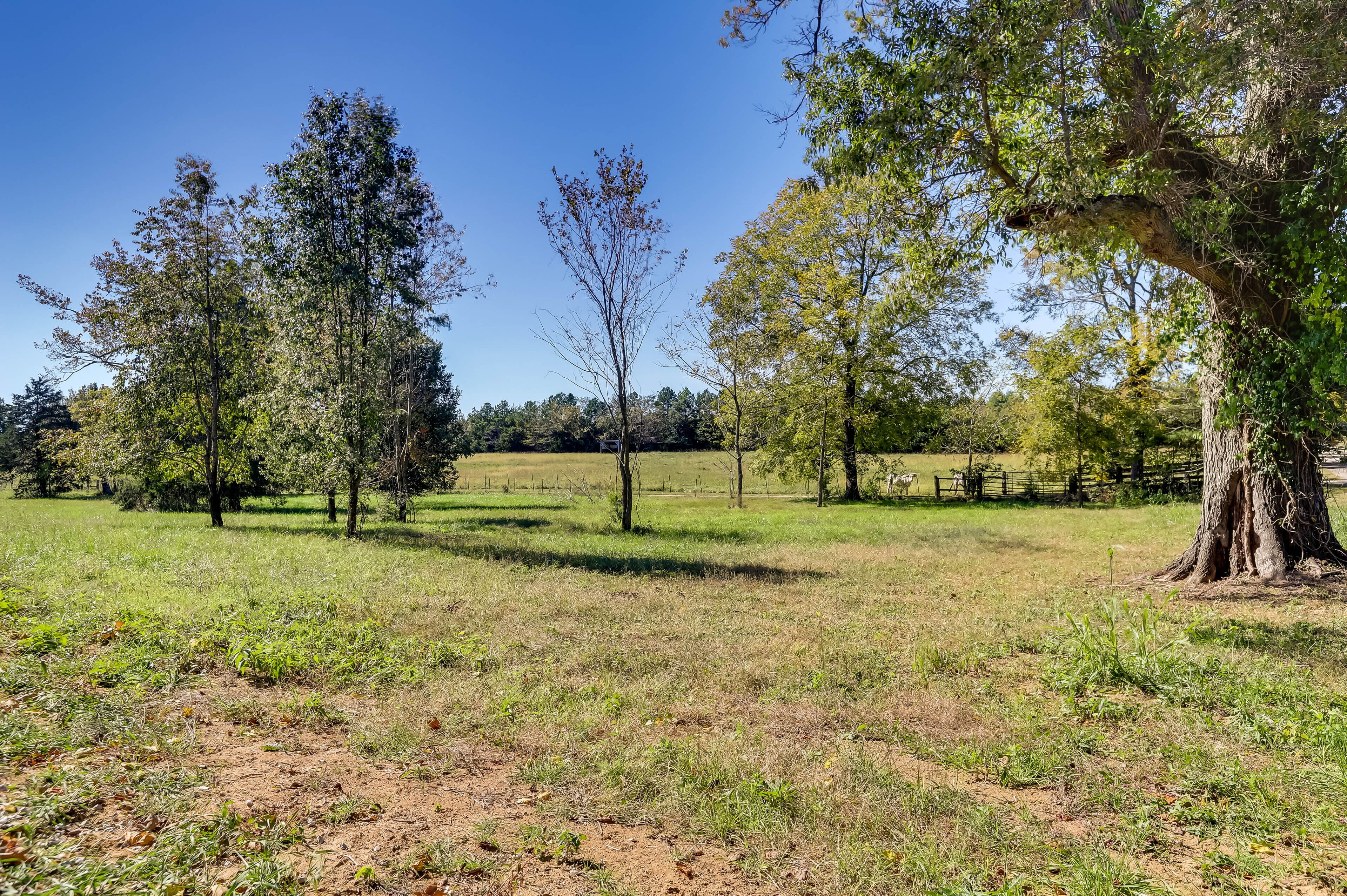 A rural landscape with trees, open fields, and a fence.