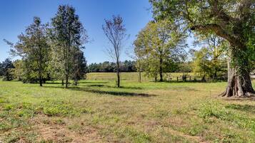A rural landscape with trees, open fields, and a fence.
