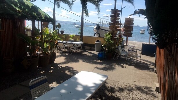 An outdoor seating area with tables and chairs, potted plants, and a view of the sea with boats.