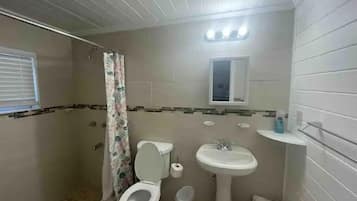 Towels, soap, shampoo, toilet paper