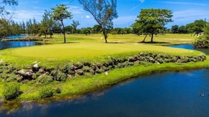 Ein Golfplatz mit Teich, Bäumen und blauem Himmel.