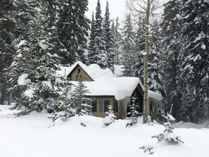 Exterior - Cozy Ski Cabin close to Solitude and Brighton resorts (Salt Lake City)
