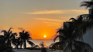 A sunset view from a rooftop with palm trees and a building in the foreground. - Sunsets and Turtles – Key Largo Moon Bay Condo – Boat Slip/Lift Optional (Key Largo)