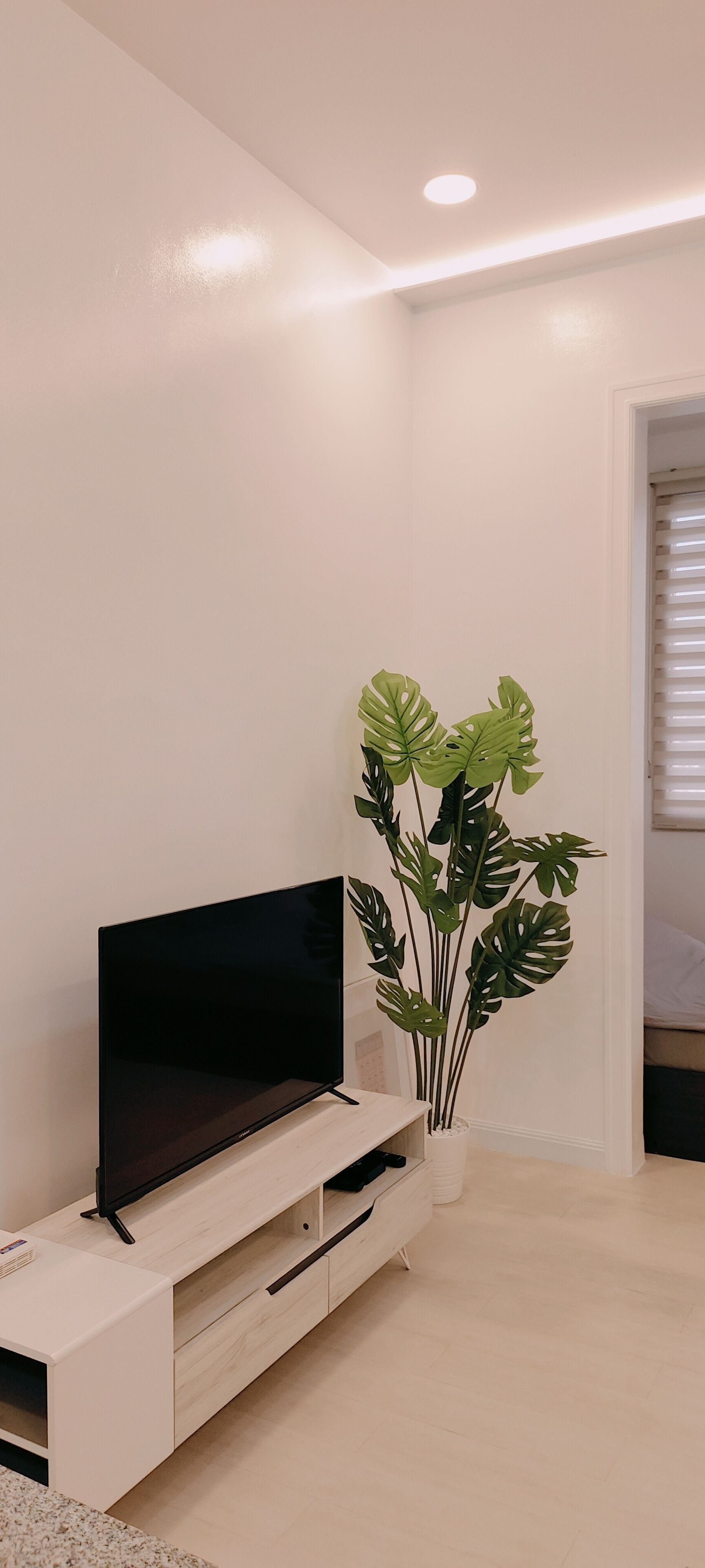 A modern living room with a flat-screen TV on a white TV stand, a large green plant, and a door leading to another room.