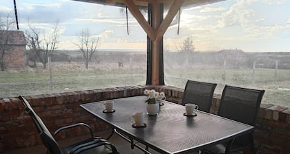Cozy home next to Vrsac vineyards