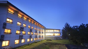 A multi-story building with multiple windows and air conditioning units. - Hotel Alpen Blick (Myoko)