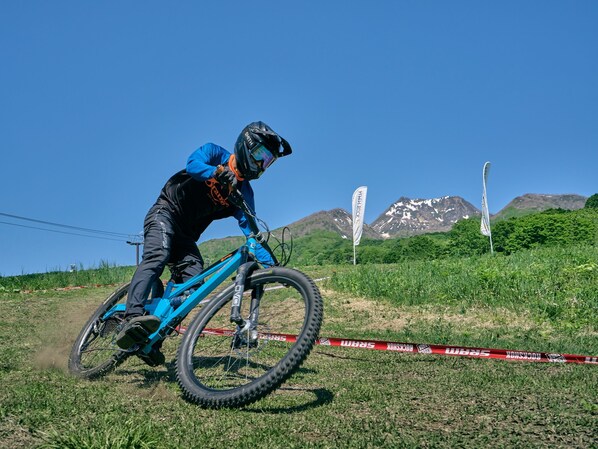A mountain biker on a blue bike in a grassy area with a clear sky and mountains in the background. - Hotel Alpen Blick (Myoko)