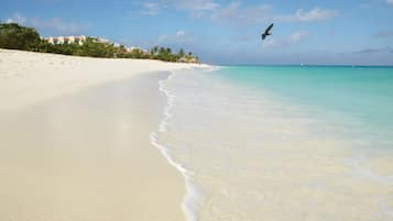 Camastros y toallas de playa