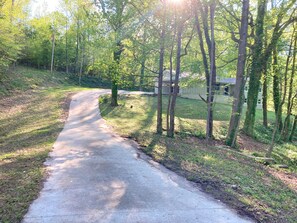 Property grounds - Completely Remodeled All Brick Ranch with 1.1 Acres on Buford Drive! 
 (Lawrenceville)