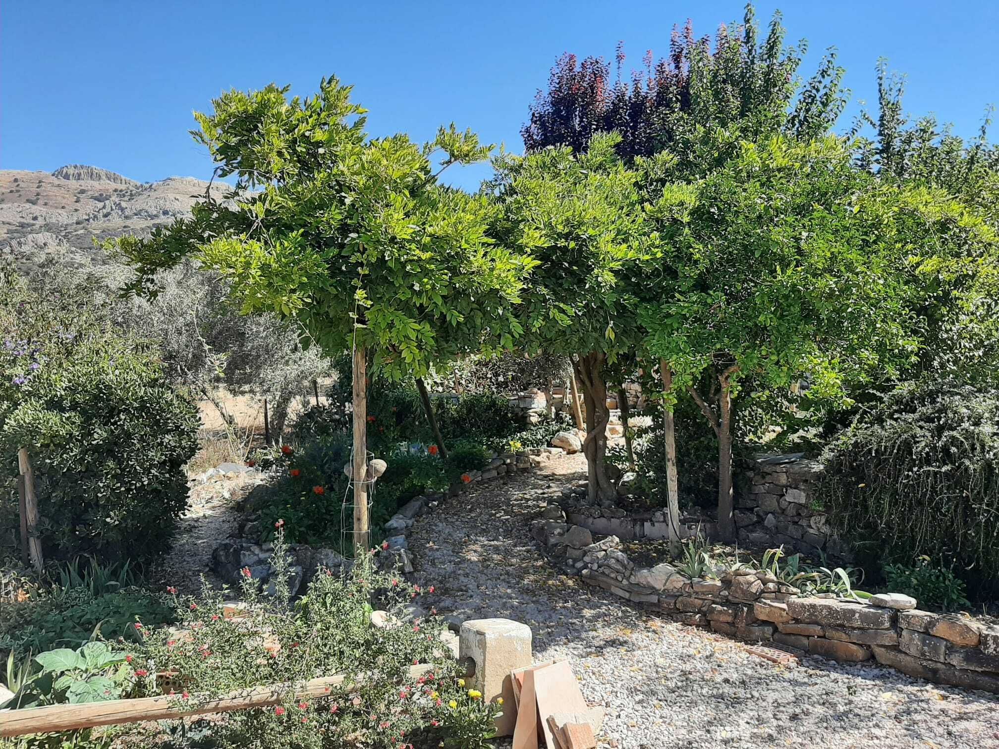 Àrea exterior de l'allotjament