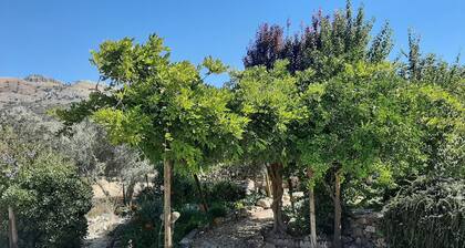 Holiday Home 'Cortijo Ramoncillos' with Mountain View, Private Terrace and Wi-Fi
