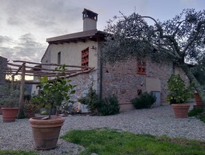 Esterni