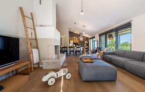 TV, fireplace, DVD player, ping pong