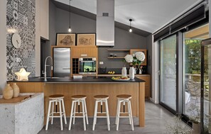 Fridge, oven, dishwasher, coffee/tea maker