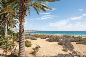 Une plage bordée de palmiers, avec des dunes de sable et une vue dégagée sur l’océan.