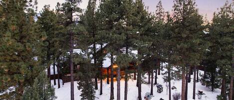 Lumi- ja hiihtourheilulajit